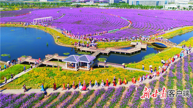 金昌_2025年澳门历史记录,谨防输出、全面解答与解释